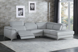 Cinque Power TOP GRAIN LEATHER  Sectional 8256
