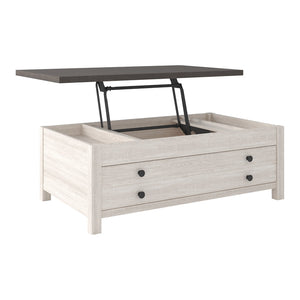 Dorrinson Two-tone Coffee Table with Lift Top T287