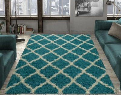 Cozy  Turquoise Shag Area Rug SGH2276  8X10
